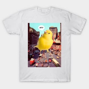 Canary in the City T-Shirt